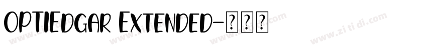 OPTIEdgar Extended字体转换
